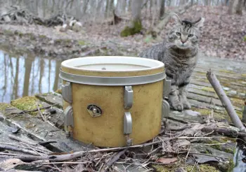 1950s Leedy &amp; Ludwig 12&quot; NOB Hoop