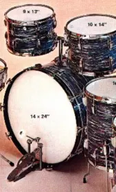 Blue Oyster Pearl Ludwigs
