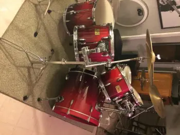 New member of the family-Pearl session custom