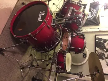 New member of the family-Pearl session custom