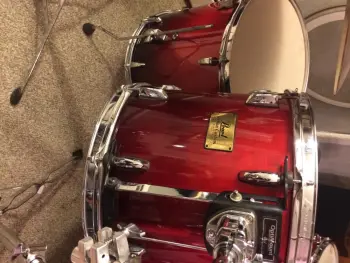 New member of the family-Pearl session custom