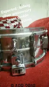 Unknown ludwig snares