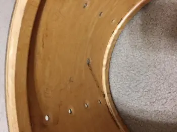 Ludwig Shells?