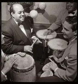 WTB Vintage Bongos, Timbales