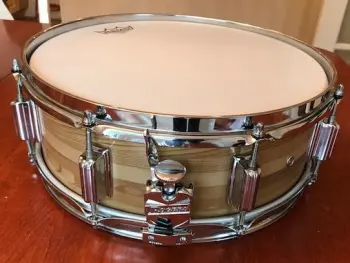 Rogers Snare Salvage Project