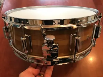 Rogers Snare Salvage Project
