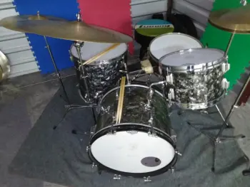 Rogers for Ludwig