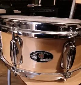 Help with a slingerland snare identification model