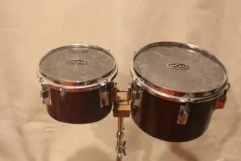 Apollo Concert Toms