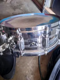 Help!! Dating My Tama imperiastar