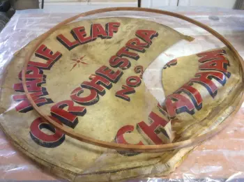 Salvaging a calf head for display
