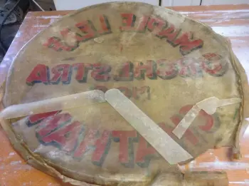 Salvaging a calf head for display