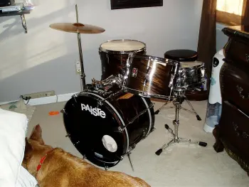 need any info on these drums.