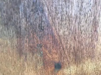 Need help identifying!