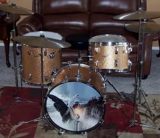 This is the Display Your Rogers Drums Thread