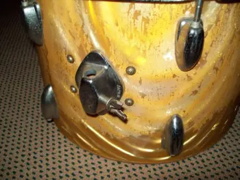 Any idea what this tom is...