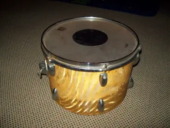Any idea what this tom is...