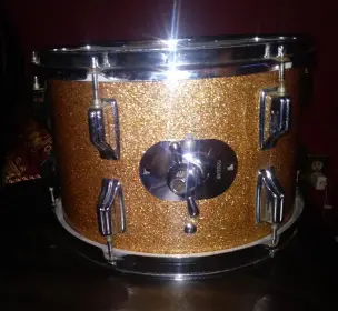 Rogers 8x12 Champagne Sparkle Tom