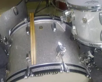 Ludwig