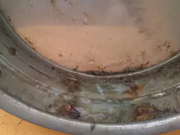 1920's Ludwig snare?