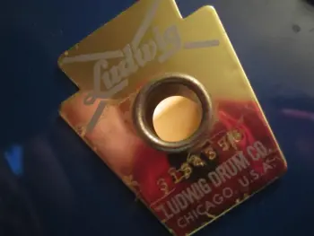 Luddy guys: what is this????