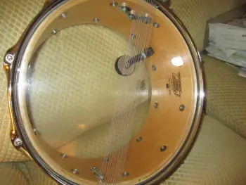 Luddy guys: what is this????