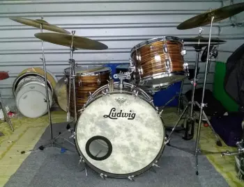 Ludwig Standard Anyone? Anyone?