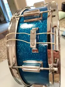 Showing off my freshly detailed Powertone