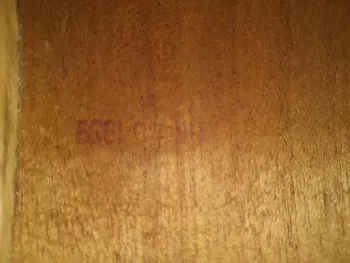 Am I right in thinking this is a Ludwig Auditorium?