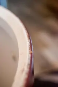 Vintage Ludwig bearing edges