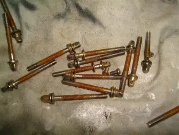 Rust on chrome