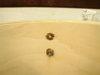 Removing rust from shell wood