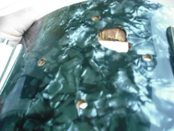 hole in shell repair?