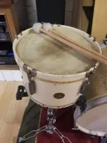 American master drums usa