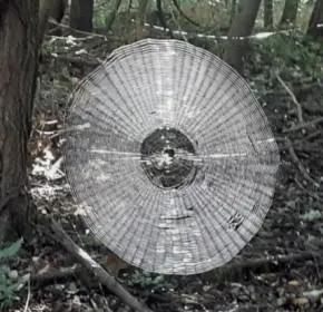 Arachnid Cymbal