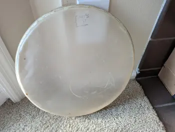 Ludwig 14&quot; Calf Head