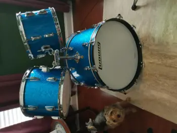 60s and 70s Ludwigs for sale