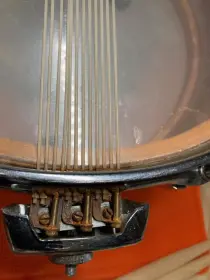 Wanna see something unique? Premier 2007 mahogany shell.