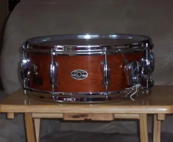 Vintage Mahogany Shells