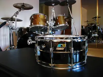 Black Beauty Question
