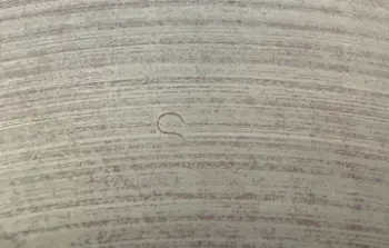 the &quot;S&quot; stamp history/mystery