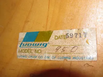 Ludwig Black Panther