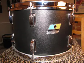 Ludwig Black Panther