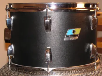 Ludwig Black Panther