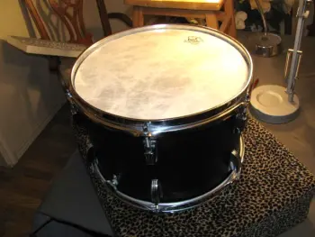 Ludwig Black Panther