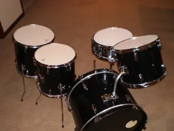 beaterkititis