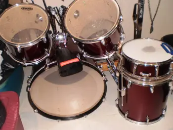 beaterkititis