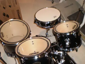 beaterkititis