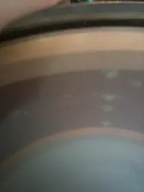 New(old) Snares