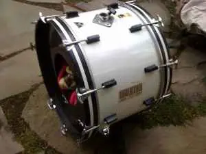 Opinions on what to do with my Ludwig Combo snare